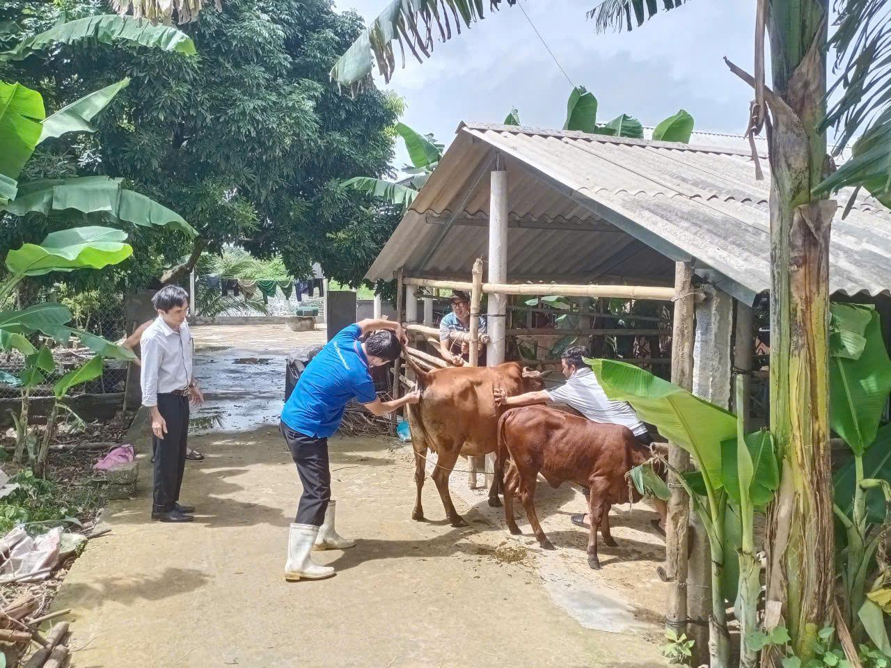 THÔNG TIN Kết quả đánh giá chất lượng vắc xin Lở mồm long móng sau tiêm phòng đối với đàn trâu bò...