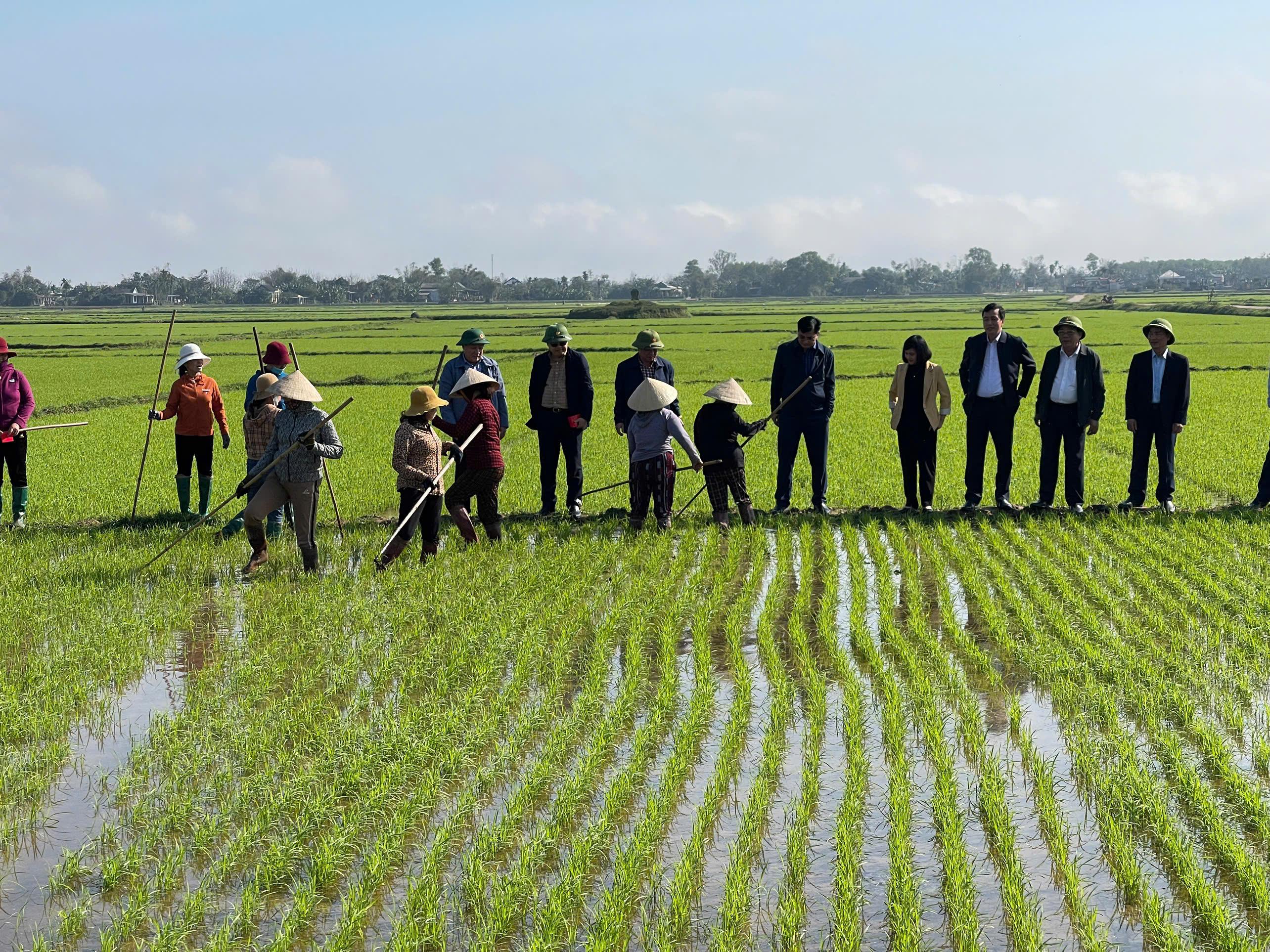 LÃNH ĐẠO TỈNH THĂM ĐỒNG ĐẦU NĂM CHÚC TẾT NÔNG DÂN