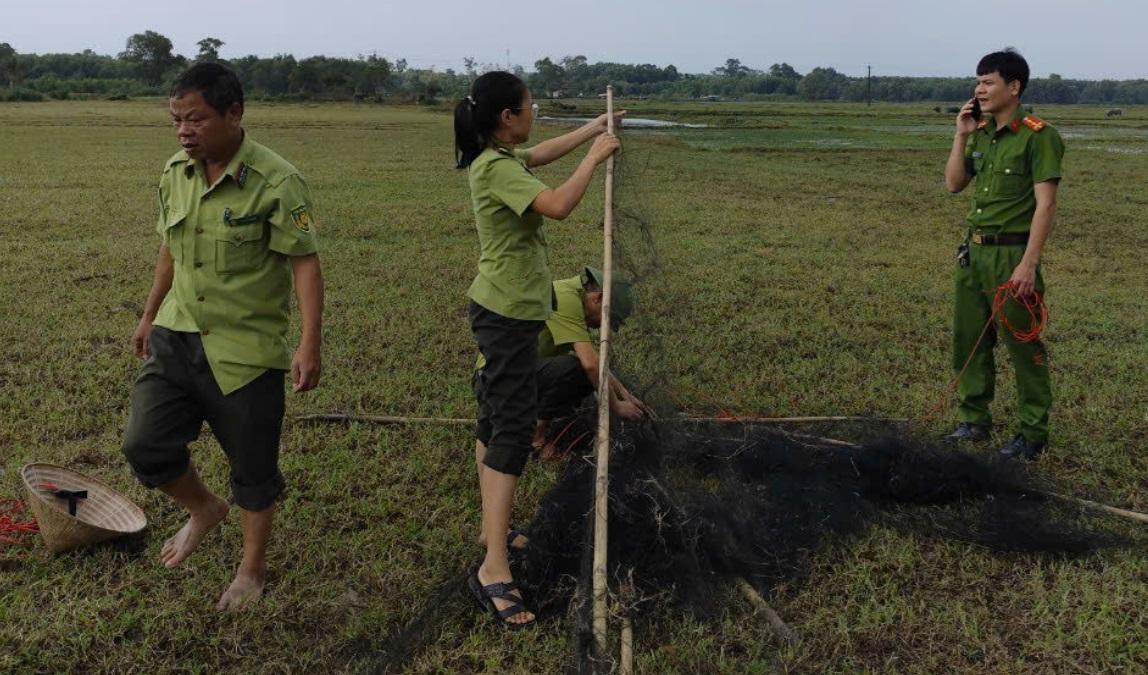 KIỂM LÂM HUYỆN HẢI LĂNG RA QUÂN THÁO DỠ CÔNG CỤ BẪY BẮT CHIM DI CƯ