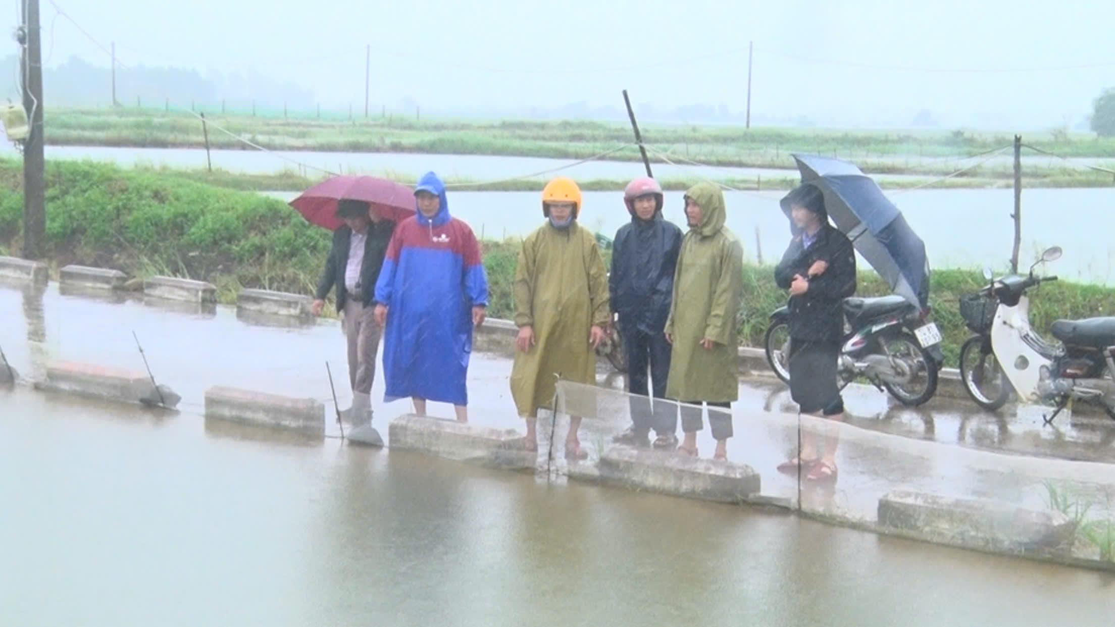 Sở Nông nghiệp và PTNT kiểm tra tình hình thiệt hại nuôi trồng thủy sản sau bão số 6