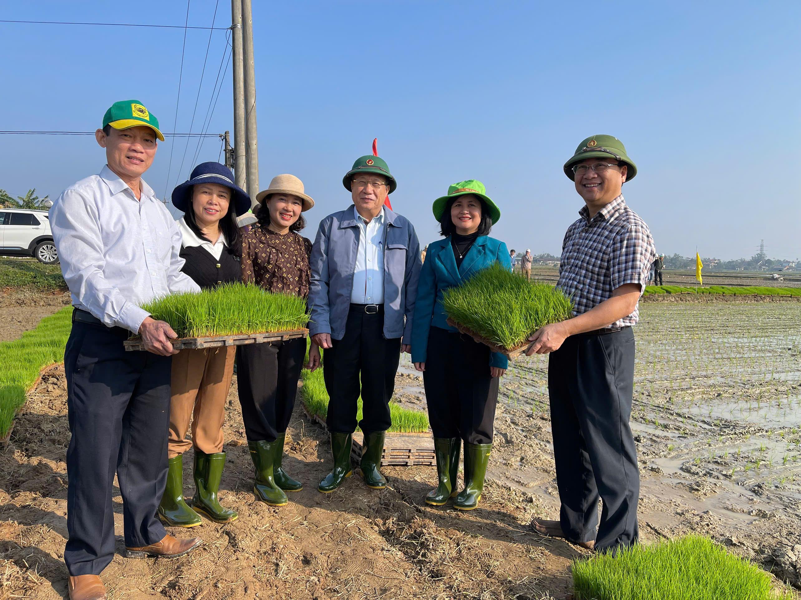 TRIỂN KHAI MÔ HÌNH SẢN XUẤT LÚA HỮU CƠ SỬ DỤNG MẠ KHAY, MÁY CẤY LIÊN KẾT TIÊU THỤ SẢN PHẨM